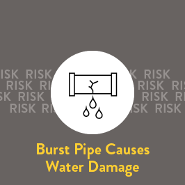 Insurance from Selective can help you manage common household risks.