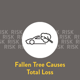 Auto insurance from Selective includes access to risk mitigation resources. 